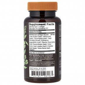 Herbs Etc., Lung Tonic™, 60 капсул в Москве - eco-herb.ru | изображение Herbs Etc., Lung Tonic™, 60 капсул в Москве - eco-herb.ru | фото