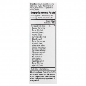 Iberogast, Облегчение пищеварения двойного действия, 20 мл (0,67 жидк. Унции) в Москве - eco-herb.ru | фото