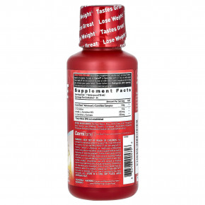 Isatori, L-карнитин, пляж Малибу, 360 мл (12 жидк. Унций) в Москве - eco-herb.ru | фото