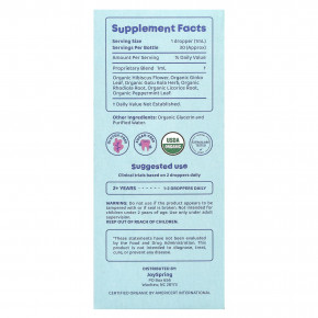 JoySpring, Genius, капли, концентрация и внимание, 30 мл (1 жидк. унция) в Москве - eco-herb.ru | фото