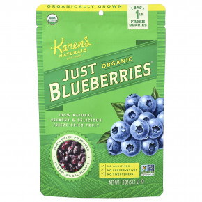 Karen's Naturals, Organic Just Blueberries®, 51,1 г (1,8 унции) - описание | фото