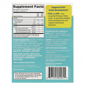 Kids Smart, Vita Gummies, Brain Booster, добавка для поддержки мозга, без сахара, для детей от 2 лет, с фруктовым вкусом, 27 жевательных таблеток в Москве - eco-herb.ru | изображение Kids Smart, Vita Gummies, Brain Booster, добавка для поддержки мозга, без сахара, для детей от 2 лет, с фруктовым вкусом, 27 жевательных таблеток в Москве - eco-herb.ru | фото