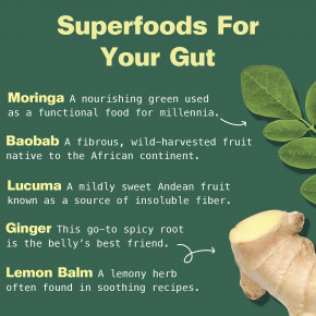 Kuli Kuli, Органическая смесь суперпродуктов, Gut Bliss, 170 г (6 унций) в Москве - eco-herb.ru | изображение Kuli Kuli, Органическая смесь суперпродуктов, Gut Bliss, 170 г (6 унций) в Москве - eco-herb.ru | фото