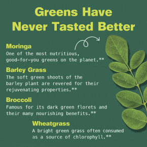 Kuli Kuli, Супер жевательные мармеладки, моринга и суперзелень, зеленое яблоко, 60 жевательных мармеладок в Москве - eco-herb.ru | изображение Kuli Kuli, Супер жевательные мармеладки, моринга и суперзелень, зеленое яблоко, 60 жевательных мармеладок в Москве - eco-herb.ru | фото