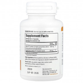 Kyolic, Aged Garlic Extract™, куркумин, 50 капсул в Москве - eco-herb.ru | фото