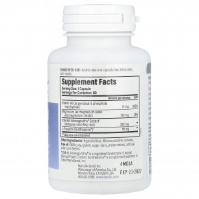 Kyolic, Specialty Series, для спокойного настроения, 60 веганских капсул в Москве - eco-herb.ru | изображение Kyolic, Specialty Series, для спокойного настроения, 60 веганских капсул в Москве - eco-herb.ru | фото