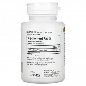 Kyolic, Выдержанный экстракт чеснока, для сердечно-сосудистой и иммунной систем, Reserve Formula 200, 60 капсул (600 мг на капсулу) в Москве - eco-herb.ru | фото