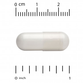 Life Extension, Neuro-Mag®, L-треонат магния, 90 вегетарианских капсул (48 мг в 1 капсуле) в Москве - eco-herb.ru | фото