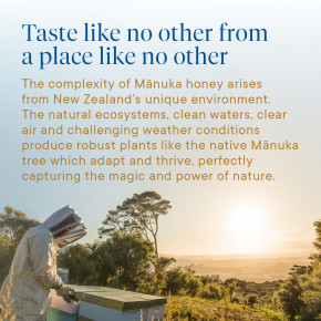 Manuka Health, Manuka Honey On-The-Go, UMF 6+, MGO 115+, 12 пакетиков по 5 г (0,176 унции) в Москве - eco-herb.ru | изображение Manuka Health, Manuka Honey On-The-Go, UMF 6+, MGO 115+, 12 пакетиков по 5 г (0,176 унции) в Москве - eco-herb.ru | фото