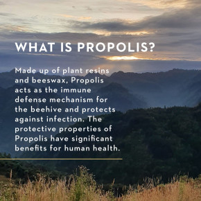 Manuka Health, Медовый спрей для горла Manuka с прополисом, MGO 400+, 0,67 жидк. унц. в Москве - eco-herb.ru | фото