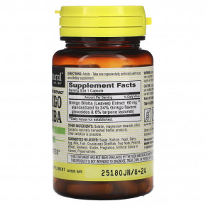 Mason Natural, гинкго билоба, стандартизированный экстракт, 60 мг, 60 капсул (Товар снят с продажи) в Москве - eco-herb.ru | фото