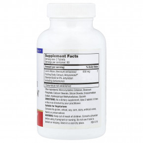 Mushroom Wisdom, ежовик гребенчатый Amyloban®, 180 вегетарианских таблеток в Москве - eco-herb.ru | фото