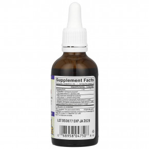 Natural Factors, Anti-V, средство с клинически подтвержденной эффективностью Echinamide®, 50 мл (1,7 жидк. унции) в Москве - eco-herb.ru | фото