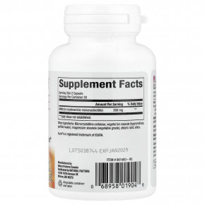 Natural Factors, RegenerLife®, NMN Surge, 60 вегетарианских капсул (150 мг на капсулу) в Москве - eco-herb.ru | фото