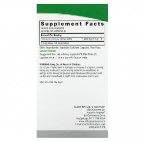 Nature's Answer, эхинацея, 90 вегетарианских капсул (400 мг в 1 капсуле) в Москве - eco-herb.ru | фото