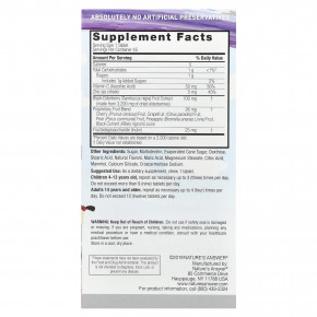 Nature's Answer, Kid's Sambucus Chewables, черная бузина с витамином C и цинком, 45 жевательных таблеток в Москве - eco-herb.ru | фото