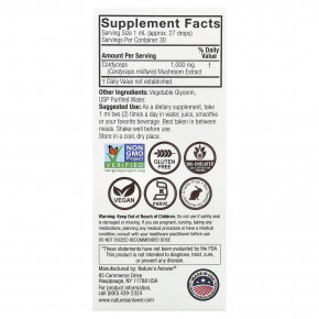 Nature's Answer, кордицепс, экстракт грибов, без спирта, 30 мл (1 жидк. унция) в Москве - eco-herb.ru | изображение Nature's Answer, кордицепс, экстракт грибов, без спирта, 30 мл (1 жидк. унция) в Москве - eco-herb.ru | фото