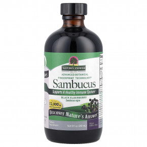 Nature's Answer, Sambucus, черная бузина, без спирта, 2500 мг, 240 мл (8 жидк. Унций) в Москве - eco-herb.ru | фото