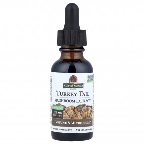 Nature's Answer, трутовик разноцветный, экстракт грибов, без спирта, 30 мл (1 жидк. унция) в Москве - eco-herb.ru | изображение Nature's Answer, трутовик разноцветный, экстракт грибов, без спирта, 30 мл (1 жидк. унция) в Москве - eco-herb.ru | фото