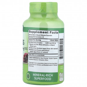 Nature's Truth, комплекс с ирландским морским мхом, ламинарией и корнем лопуха, 90 капсул с быстрым высвобождением в Москве - eco-herb.ru | фото