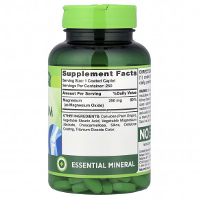 Nature's Truth, магний, 250 мг, 250 капсул, покрытых оболочкой в Москве - eco-herb.ru | изображение Nature's Truth, магний, 250 мг, 250 капсул, покрытых оболочкой в Москве - eco-herb.ru | фото