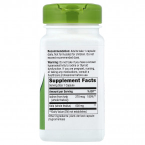 Nature's Way, цельные бурые водоросли, 363 мг, 100 капсул в Москве - eco-herb.ru | фото