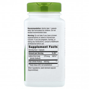 Nature's Way, бурые водоросли с цельным талломом, 600 мг, 180 веганских капсул в Москве - eco-herb.ru | фото