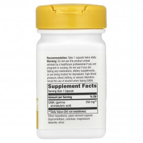 Nature's Way, ГАМК, 250 мг, 60 веганских капсул в Москве - eco-herb.ru | изображение Nature's Way, ГАМК, 250 мг, 60 веганских капсул в Москве - eco-herb.ru | фото