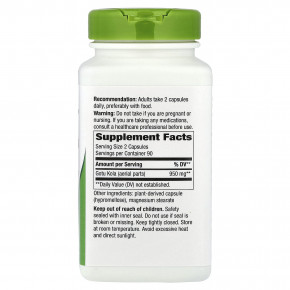 Nature's Way, готу кола, цельное растение, 180 веганских капсул (475 мг в 1 капсуле) в Москве - eco-herb.ru | изображение Nature's Way, готу кола, цельное растение, 180 веганских капсул (475 мг в 1 капсуле) в Москве - eco-herb.ru | фото