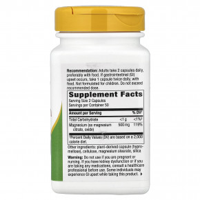 Nature's Way, комплекс с магнием, 100 капсул (250 мг в 1 капсуле) в Москве - eco-herb.ru | фото