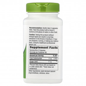 Nature's Way, корень имбиря, 180 веганских капсул (550 мг в 1 капсуле) в Москве - eco-herb.ru | фото