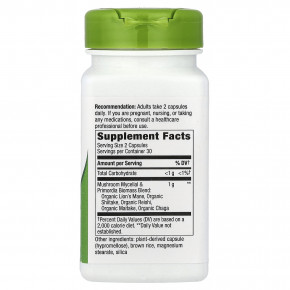 Nature's Way, смесь из 5 грибов, 60 капсул в Москве - eco-herb.ru | изображение Nature's Way, смесь из 5 грибов, 60 капсул в Москве - eco-herb.ru | фото