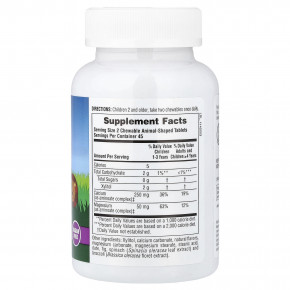 NaturesPlus, Animal Parade®, жевательная добавка с кальцием для детей, ванильное мороженое, 90 таблеток в форме животных в Москве - eco-herb.ru | фото