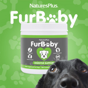 NaturesPlus, FurBaby™, добавка для поддержки пищеварения, для собак, 210 г (7,4 унции) в Москве - eco-herb.ru | фото