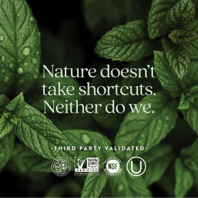 New Chapter, 55+ Every Woman's One Daily, витаминный комплекс на основе цельных продуктов для женщин старше 55 лет, 96 вегетарианских таблеток в Москве - eco-herb.ru | фото