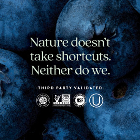 New Chapter, Advanced Perfect Prenatal ™, мультивитамины, 270 вегетарианских таблеток в Москве - eco-herb.ru | фото