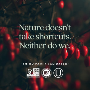 New Chapter, Berberine, 60 Vegan Tablets (500 mg per Tablet) в Москве - eco-herb.ru | фото