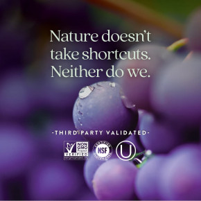 New Chapter, Blood Pressure Balance, смесь виноградных косточек, 60 веганских капсул в Москве - eco-herb.ru | фото