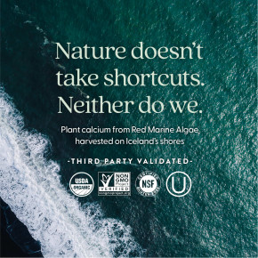 New Chapter, Bone Strength Take Care, 120 тонких вегетарианских таблеток в Москве - eco-herb.ru | фото