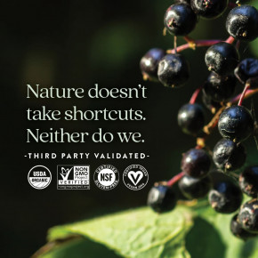 New Chapter, цельнопищевые жевательные таблетки с органической бузиной, для детей от 2 лет, 30 веганских жевательных таблеток в Москве - eco-herb.ru | фото