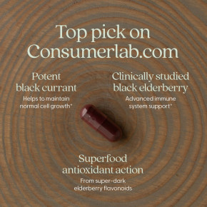 New Chapter, Elderberry Force™, 60 веганских капсул в Москве - eco-herb.ru | изображение New Chapter, Elderberry Force™, 60 веганских капсул в Москве - eco-herb.ru | фото