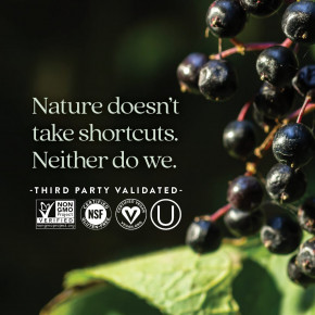 New Chapter, Elderberry Force™, 60 веганских капсул в Москве - eco-herb.ru | изображение New Chapter, Elderberry Force™, 60 веганских капсул в Москве - eco-herb.ru | фото