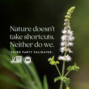 New Chapter, Estrotone, 60 вегетарианских капсул в Москве - eco-herb.ru | изображение New Chapter, Estrotone, 60 вегетарианских капсул в Москве - eco-herb.ru | фото