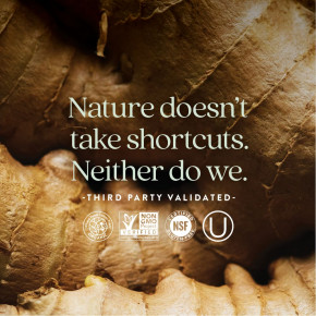 New Chapter, ферментированный комплекс коэнзима В, 90 вегетарианских таблеток в Москве - eco-herb.ru | фото