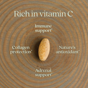 New Chapter, ферментированный витамин C, 60 веганских таблеток в Москве - eco-herb.ru | фото