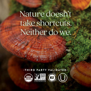 New Chapter, Ферментированный витамин D3, 2000 МЕ, 90 вегетарианских таблеток в Москве - eco-herb.ru | фото