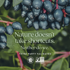 New Chapter, жевательные мультивитамины для женщин старше 50 лет, со вкусом ягод и цитруса, 90 жевательных таблеток в Москве - eco-herb.ru | фото