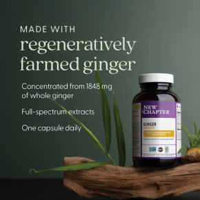 New Chapter, Ginger Force™, 60 вегетарианских капсул в Москве - eco-herb.ru | фото