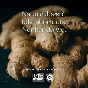 New Chapter, Ginger Force™, 60 вегетарианских капсул в Москве - eco-herb.ru | фото