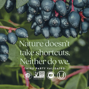 New Chapter, Иммунная защита, витамин C + бузина, 30 вегетарианских таблеток в Москве - eco-herb.ru | изображение New Chapter, Иммунная защита, витамин C + бузина, 30 вегетарианских таблеток в Москве - eco-herb.ru | фото